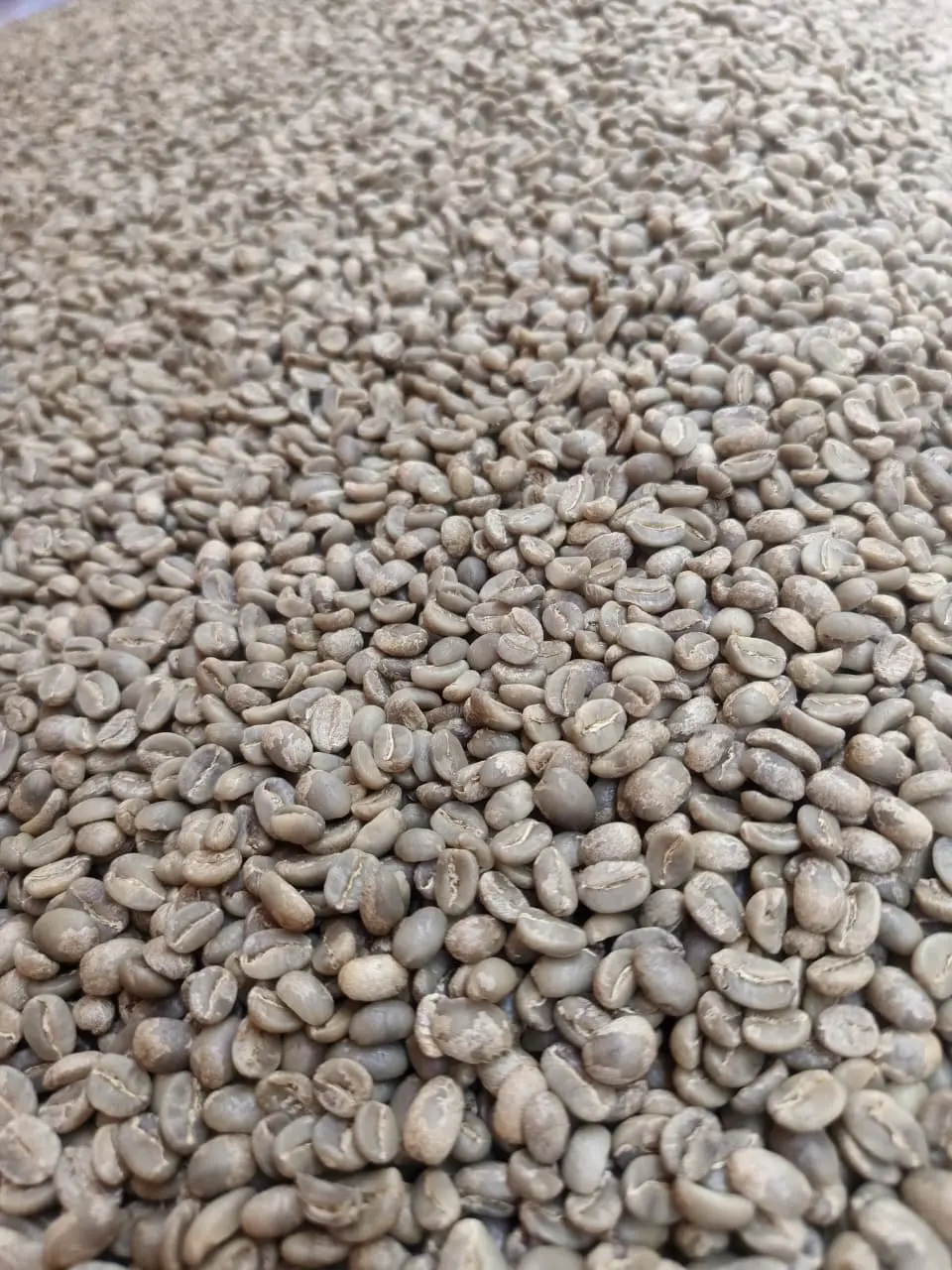 Java Ijen Arabica Full Washed Grade 1 from Java Ijen