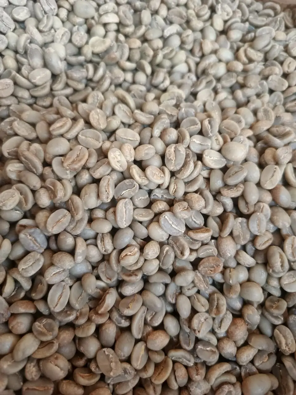 Java Ijen Arabica Honey Grade 1 from Java Ijen