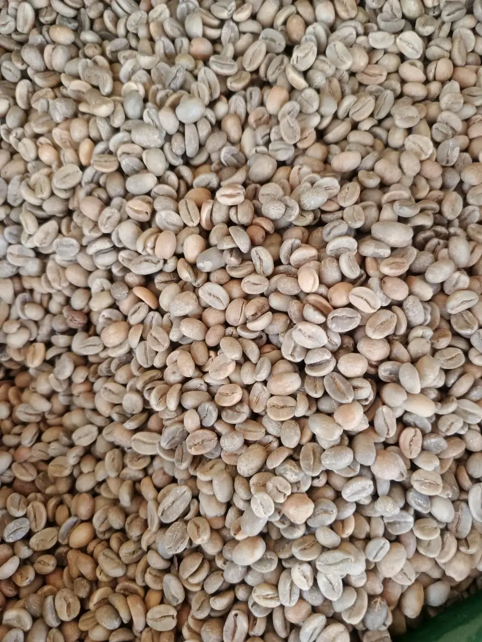 Arabica Java Ijen green coffee lot