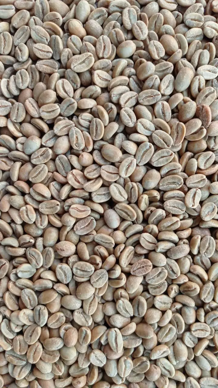 Java Ijen Orange Bourbon Natural Anaerob Specialty from Java Ijen