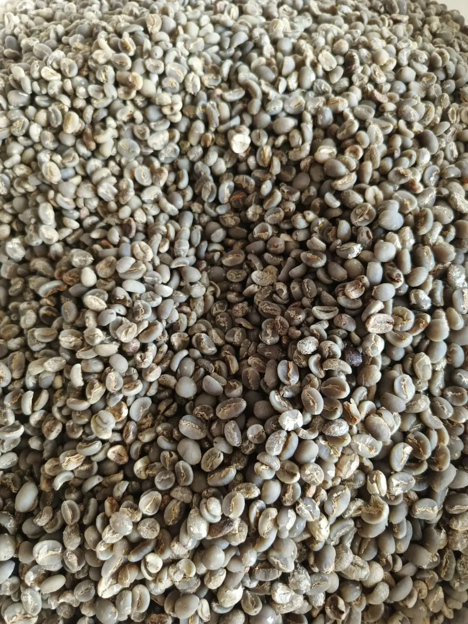 Java Ijen Arabica Semi Washed Grade 1 from Java Ijen