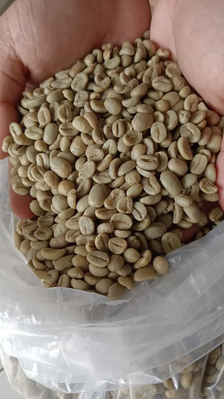 Aceh Gayo Indonesian Arabica coffee origin
