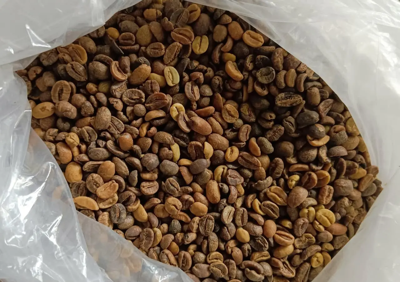 Aceh Gayo Arabica Wine Grade 1 from Aceh Gayo